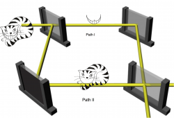 ccat_scheme